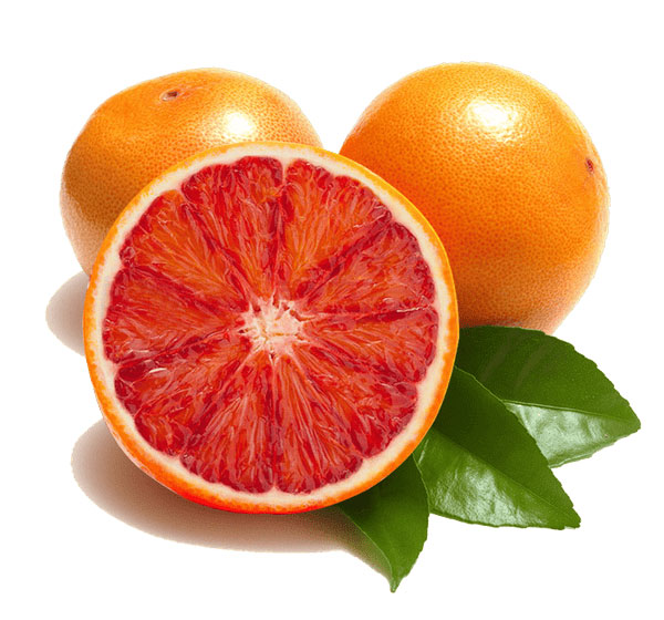 اسانس پودری پرتقال خونی
